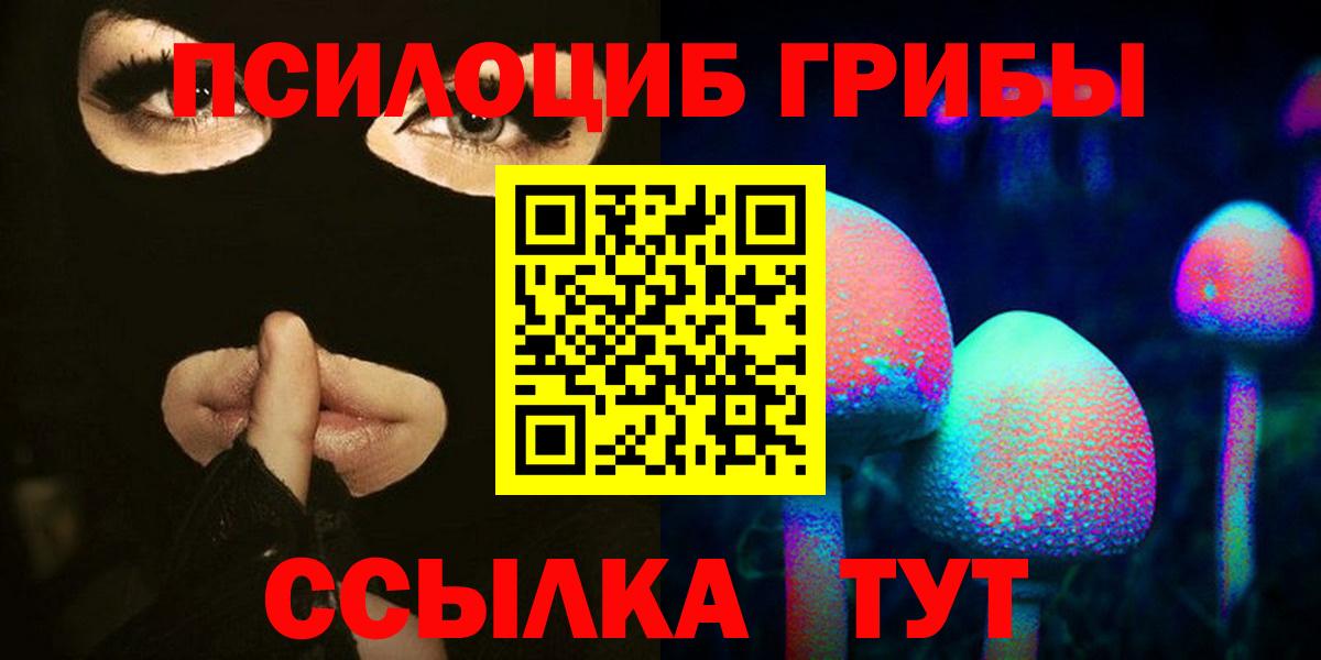 Родники  Псилоцибиновые грибы мицелий  Вход с VPN  Галлюциногенные грибы Psilocybe 